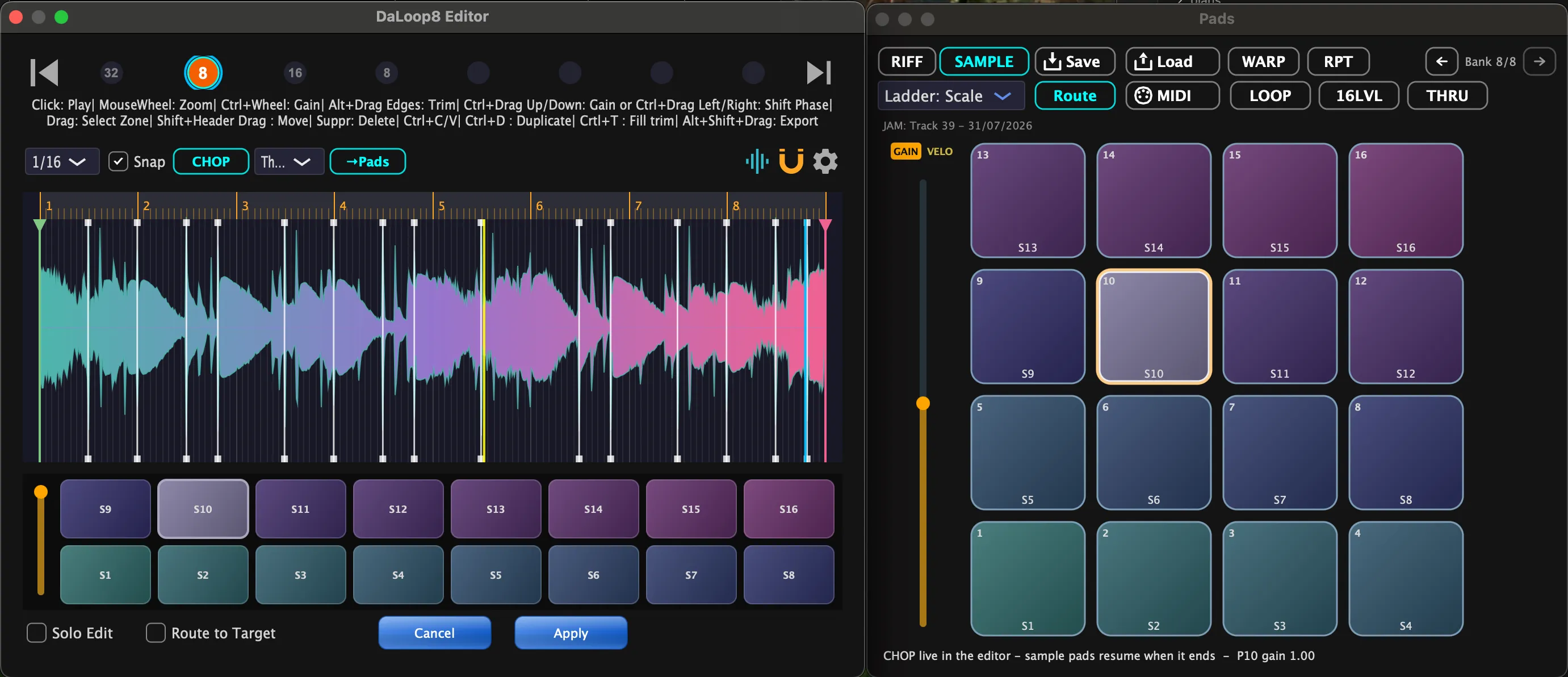 A loop chopped across sixteen pads: the DaLoop8 editor beside the pad bank it just filled
